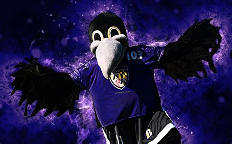 The ravens mascot